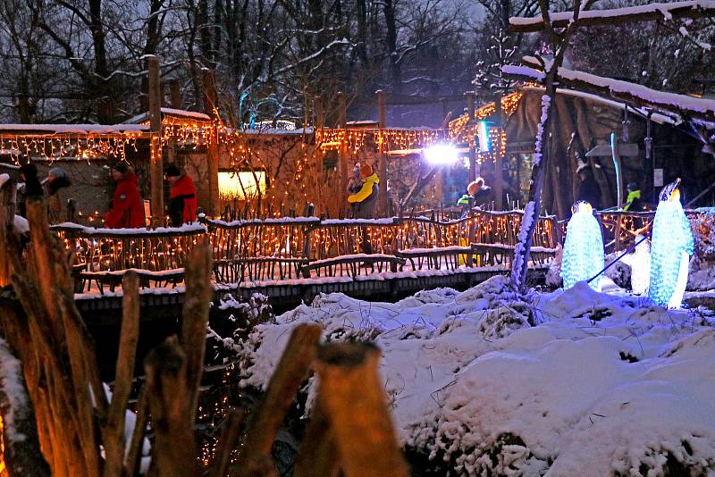 Vánočně nasvícená Zoo Ohrada v Hluboké nad Vltavou.