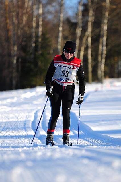 Šumavská 30 - Nová Pec 7.2.2015