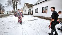 V Ločenicích na Českobudějovicku chodí o masopustu hned dvě party koledníků. Kromě klasické "velké" koledy, chodí od domu k domu "malá" koleda mladších kluků.