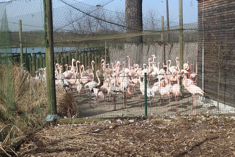 Obyvatelé (a pracovníci) ZOO Ohrada.