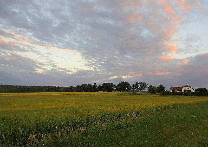 Podzimní západy slunce, ranní mlha a červánky, to jsou meteorologické jevy, které stále fascinují. Odborníci prozradili, jak vznikají.