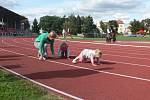 Na Sokolském ostrově v Českých Budějovicích byla při sportovním dnu představena 19. září 2019 i rekonstruovaná tribuna. Jednota také slavila 150 let.