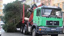 Vánoční strom pro České Budějovice již dorazil na náměstí.