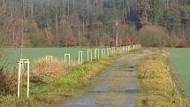 Ve středu se v Hluboké nad Vltavou uskutečnilo slavnostní otevření projektu "Výsadba dřevin Pod Pilou - Barokní kříž v lokalitě na Křesíně. Toho se účastnily i děti zde zdejší mateřské školy.