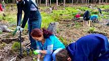 Libor Moravec z Českých Budějovic na konci roku 2019 založil iniciativu Obnovme jihočeské lesy. Na sociální síti měla obrovský ohlas a od jara 2020 dosud dobrovolníci vysázeli na 50 tisíc stromků.