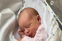 Anežka Hánová, Milevsko. Prvorozená dcera Moniky Kofroňové a Jana Hány se narodila 11. 12. 2022 v 5.31 hodin. Při narození vážila 3250 g a měřila 50 cm.