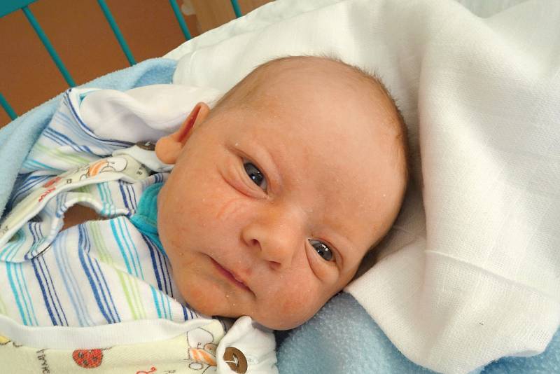 V krajském městě poznává svět Pavel Řepík. V českobudějovické nemocnici jej maminka Marie Žahourová porodila 15. 1. 2018 v 17.29 h. Pavel, který je zatím jedináčkem, po narození vážil 3,53 kg.