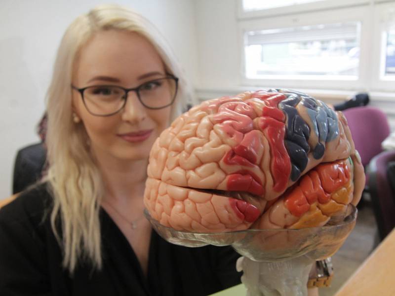 Model mozku ukazuje studentka zdravotně sociální fakulty v Českých Budějovicích Eliška Růžičková.