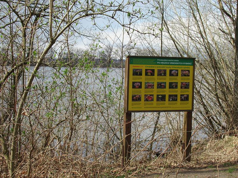 Přírodní rezervace leží na severozápadním okraji Českých Budějovic a má rozlohu 245,8 ha. Zahrnuje čtyři rybníky, mokřady a louky. Vyznačuje se bohatou a unikátní faunou i flórou.