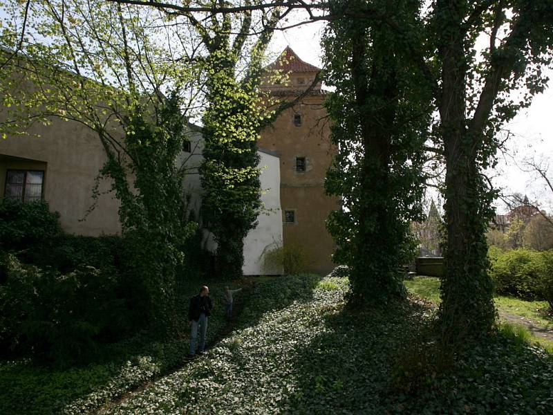 V Den památek v Českých Budějovicích meli návštěvníci jedinečnou možnost nahlédnout do jindy uzavřené Biskupské zahrady, která nabízí i výhled na soutok řek Malše a Vltavy. 