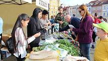 Festival Ahoj Viet Nam splnil svůj cíl. Sblížil vietnamskou komunitu s Budějčáky.