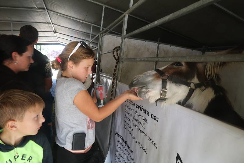 Agrosalon Země živitelka se chýlí ke svému konci, kolorit vystavovatelů je určen nejen odborníkům, užívá si ho široká veřejnost včetně těch nejmenších.