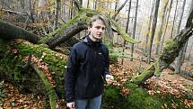 Žofínský prales v Novohradských horách je nejstarší ve střední Evropě. Po orkánu Kyril ale pětina stromů popadala a teď v něm řádí kůrovec. Na snímku botanik Petr Lepší u jednoho ze stromů starých 400 let.