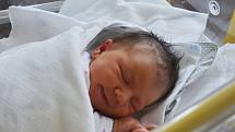 Olívie Cicvárková z Písku. Prvorozená dcera Michaly Brandtnerové a Pavla Cicvárka se narodila 14. 11. 2021 ve 4.33 hodin. Při narození vážila 3400 g a měřila 50 cm.