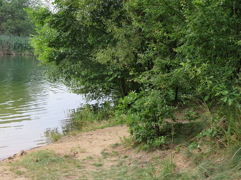 V Jihočeském kraji je řada neoficiálních lokalit, které si oblíbili naturisté. Pokud nechcete potkat naháče, raději se jim vyhněte.