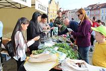 Sobotu můžete v Českých Budějovicích prožít na festivalu Ahoj Viet Nam a odejdete plni skvělých vietnamských jídel, kulturních zážitků a informací o této zemi.