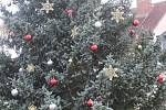 Vánoční strom a betlém v Táboře.