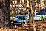 Nehoda v českobudějovickém parku Na Sadech. Řidič přejel do protisměru a projel 100 metrů parkem, až se vůz zastavil o strom.