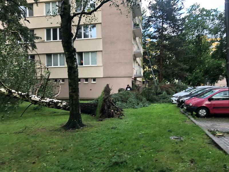 Následky bouřky v Českých Budějovicích na Pražském předměstí.
