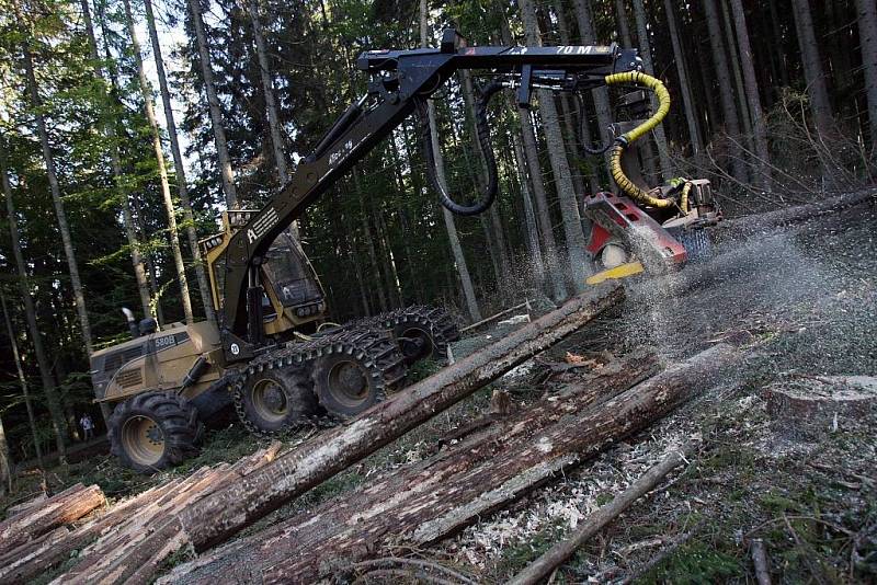 Ve II. zóně národního parku Šumava u Schwarzenberského kanálu poblíž Jeleních vrchů pokračovaly 23. srpna harvestory v těžbě stromů napadených kůrovcem. 