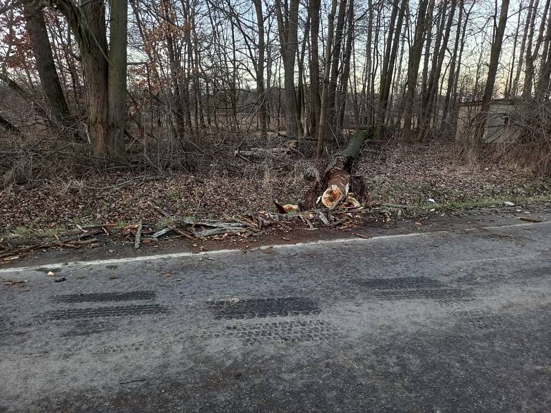 Vítr v neděli dopoledne 30. ledna 2022 na jihu Čech komplikoval například dopravu. Mezi Municemi a Hlubokou nad Vltavou vyvrátil na silnici strom, který odklidili hasiči.