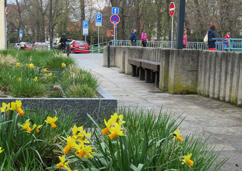 Ulice Českých Budějovic se pohybuje muž v sutaně s velkým dřevěným křížem, nejčastěji se má vyskytovat na Senovážném náměstí, kolem pošty a Lannově třídě.