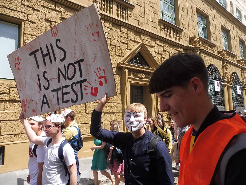 Budějovický majáles vyvrcholil v pátek 24. května tradičním průvodem městem. Studenti ze 17 škol prošli ulicemi centra v maskách. Dav mířil na Sokolský ostrov, kde program pokračoval volbou Krále majálesu. Navečer se zde tradičně koná hudební program.