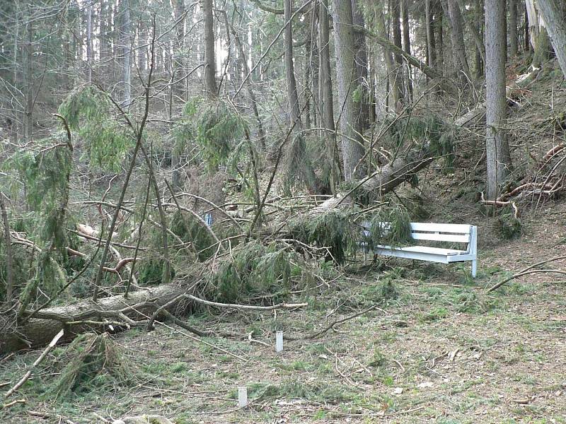 Následky orkánu Kyrill a následných větrných poryvů na počátku roku 2007. Terčino údolí.