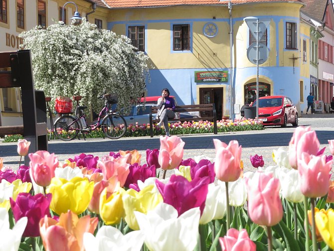 Rozkvetlé centrum Týna nad Vltavou a Veselí nad Lužnicí.