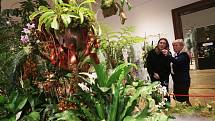 Výstava orchidejí v Jihočeském muzeu.