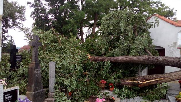 V noci na čtvrtek 24. 6. 2021 způsobila velké škody na Českobudějovicku další ze série bouřek. Na snímku poničený hřbitov v Pištíně, kam padla vyvrácená lípa.