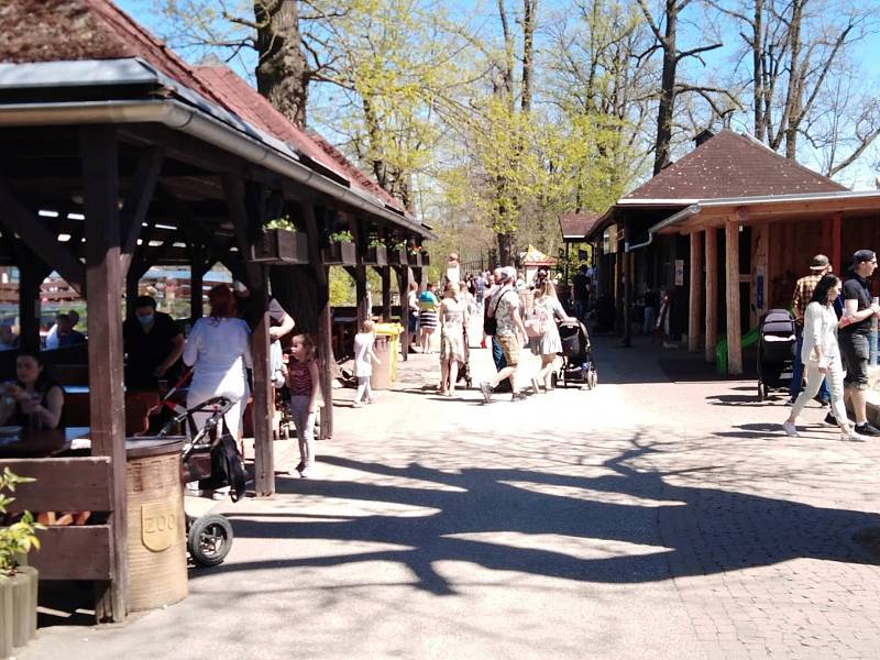 Letní počasí vylákalo do ZOO Hluboká nad Vltavou davy lidí.