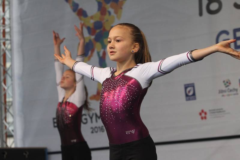 Mezinárodní gymnastické soutěže Eurogym začne v Českých Budějovicích přesně za 101 dní. Na snímku gymnastky z Gymcentrum Merkur