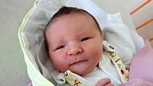 Lenka Pírková přivedla na svět dceru Emmu Pírkovou. Narodila se 18. 7. 2017 v 8.48 h.  Váha novorozence byla 3,8 kilogramu. Domovem Emmy budou Vodňany.