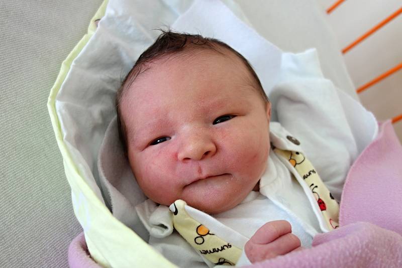 Lenka Pírková přivedla na svět dceru Emmu Pírkovou. Narodila se 18. 7. 2017 v 8.48 h.  Váha novorozence byla 3,8 kilogramu. Domovem Emmy budou Vodňany.