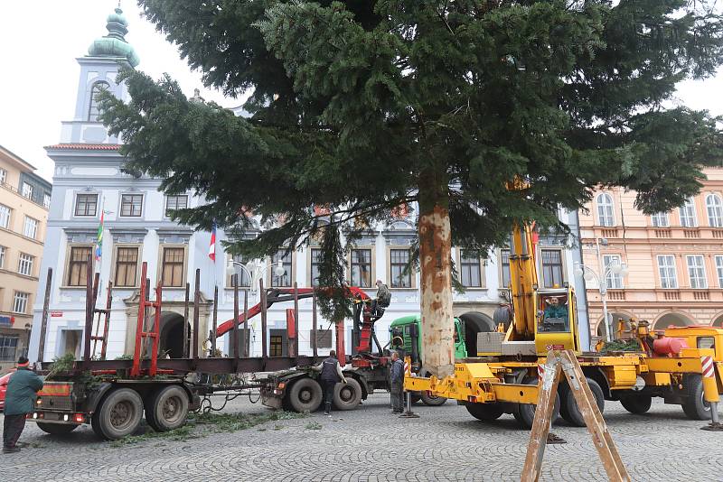 Vánoční strom pro České Budějovice ze Zavadilky,část 1