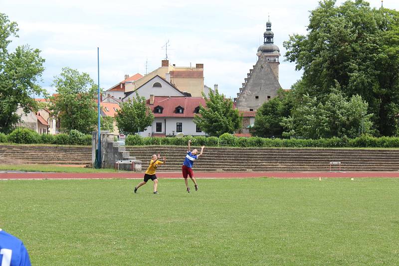 V Českých Budějovicích se konalo 3. a 4. 6. 2017 historicky první mistrovství juniorů ČR ve frisbee pod širým nebem.