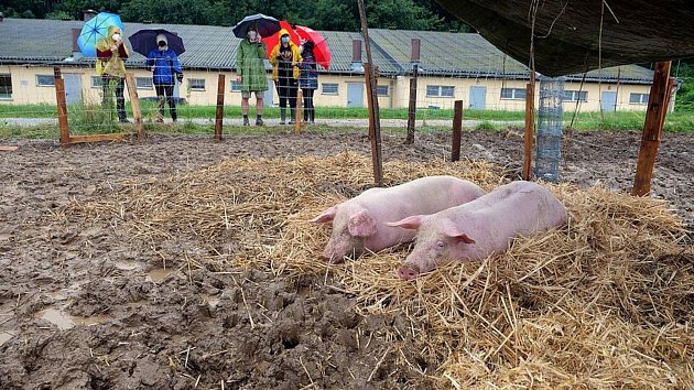 Nechali 'zajatce' přivonět k životu, ale kde je jim konec…