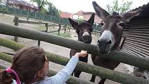 Jihočeská zoologická zahrada Hluboká