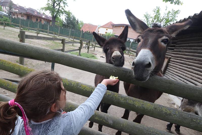 Jihočeská zoologická zahrada Hluboká