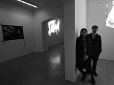 Lucemburská dvojice Gast Bouschet a Nadine Hilbert do 12. května představuje své dílo v budějovickém Domě umění.