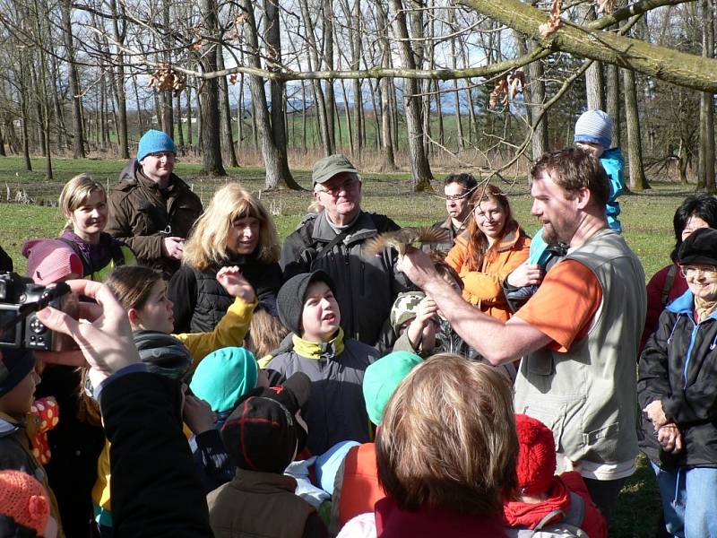 Českobudějovický park Stromovka je domovem desítek ptačích druhů. Konají se sem i ornitologické vycházky.