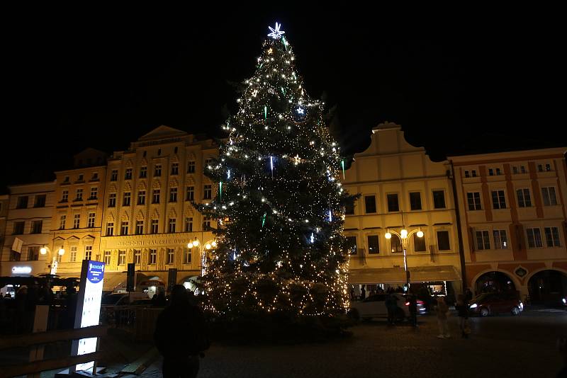 Vánoční strom v Budějovicích už svítí, v neděli ho přizdobil sníh