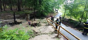 Odklízení škod na cyklostezce z Hluboké nad Vltavou do Purkarce. V akci dobrovolní hasiči Purkarec.