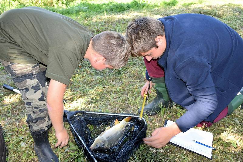 Šestý ročníku „pytlačení“ na Lundárku, které uspořádala obec s podporou Skupiny ČEZ, se zúčastnilo 32 dospělých a 16 dětí.