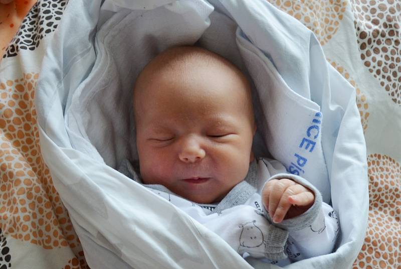 Prvorozenou dceru přivítali 25. 7. 2021 na světě rodiče Michaela a Patrik Moulisovi z Vodňan. Patricie Moulisová se narodila 25. 7. 2021 ve 3.03 h. a vážila 3,10 kg.