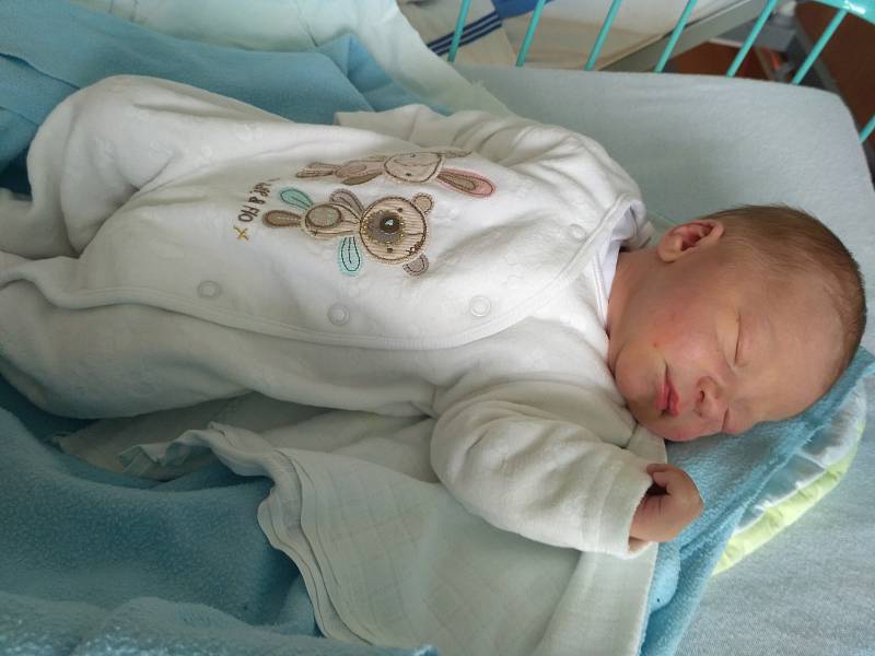 V Českých Budějovicích vyroste Kubík Petrásek, prvorozený potomek Petry a Jana Petráskových. V českobudějovické nemocnici se  narodil 19. 1. 2018 v 9.05 h a vážil 3,17 kilogramu.