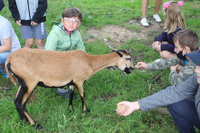 Příměstský tábor VSKH Pohodáři na malé farmě u Pilmanova rybníka v Českých Budějovicích.