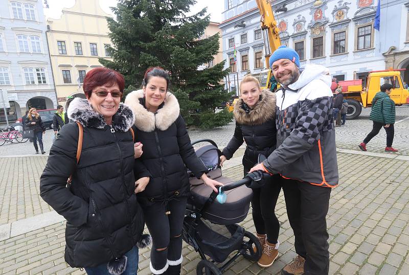 Vánoční strom pro České Budějovice ze Zavadilky,část 1