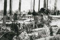 Následky větrné smrště roku 1916 u Borku.